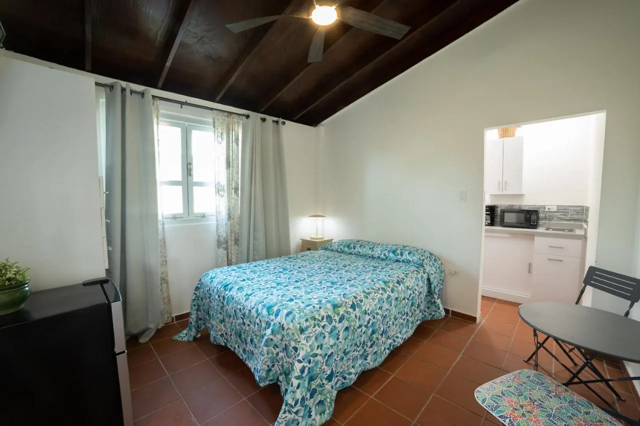 Andalucia Guest House San Juan 3*,