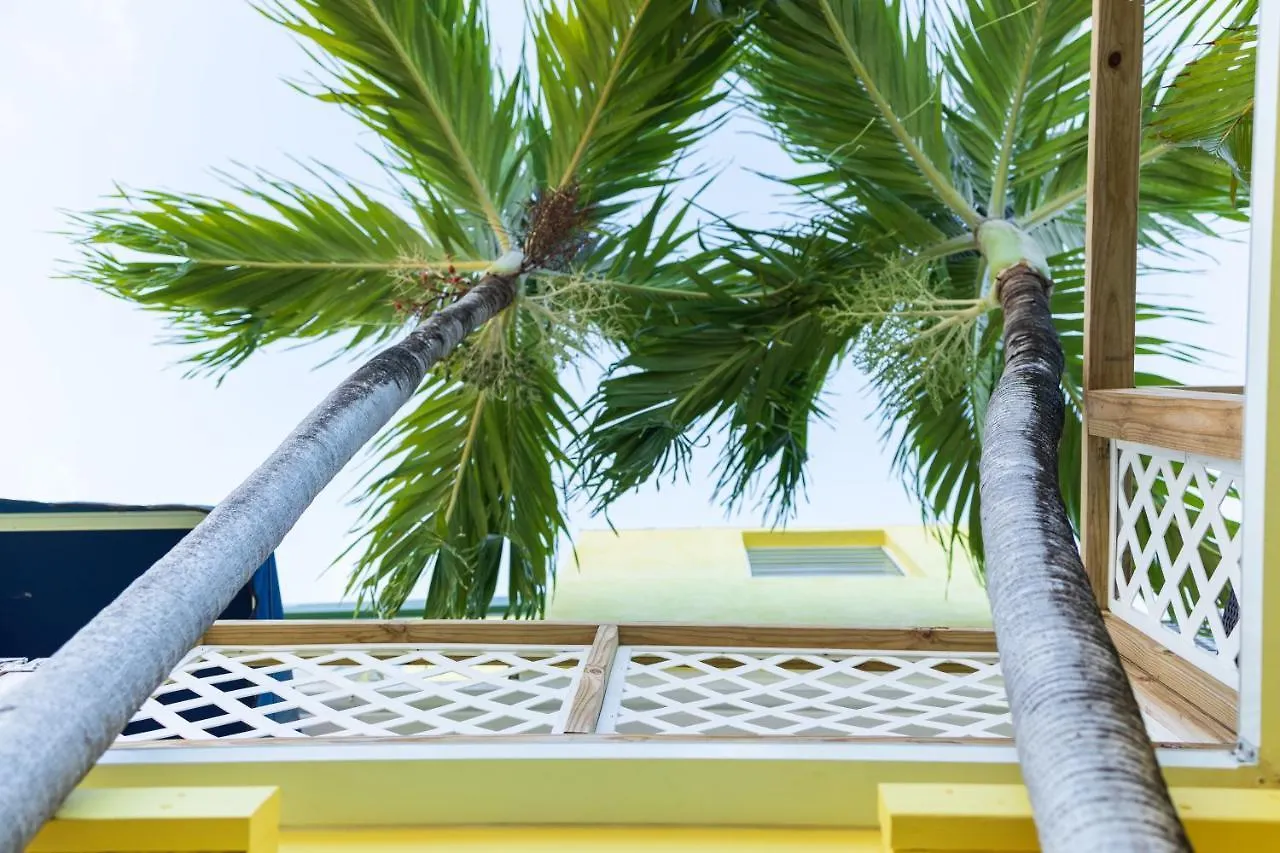 Andalucia Guest House San Juan