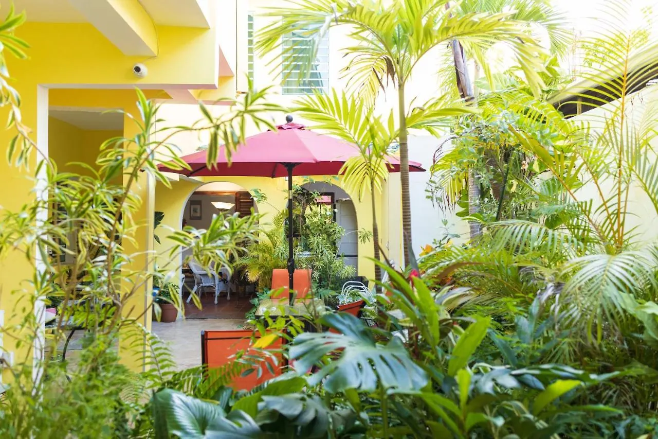 Andalucia Guest House San Juan