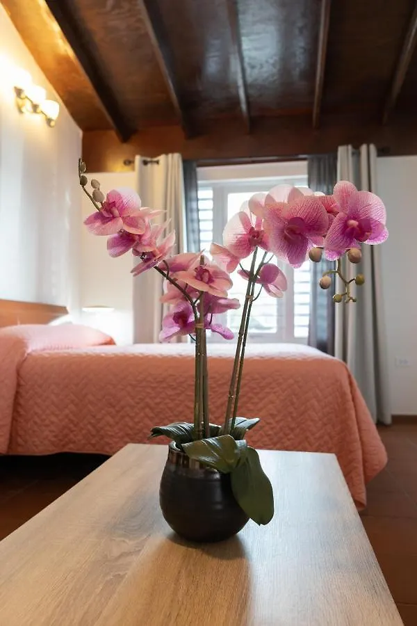 Andalucia Guest House San Juan Puerto Rico