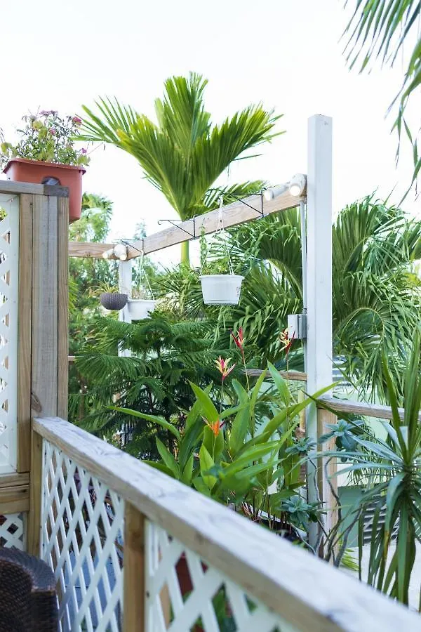 Andalucia Guest House San Juan