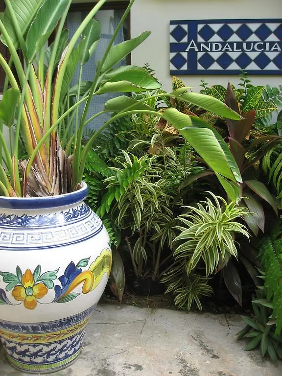 Andalucia Guest House San Juan Puerto Rico