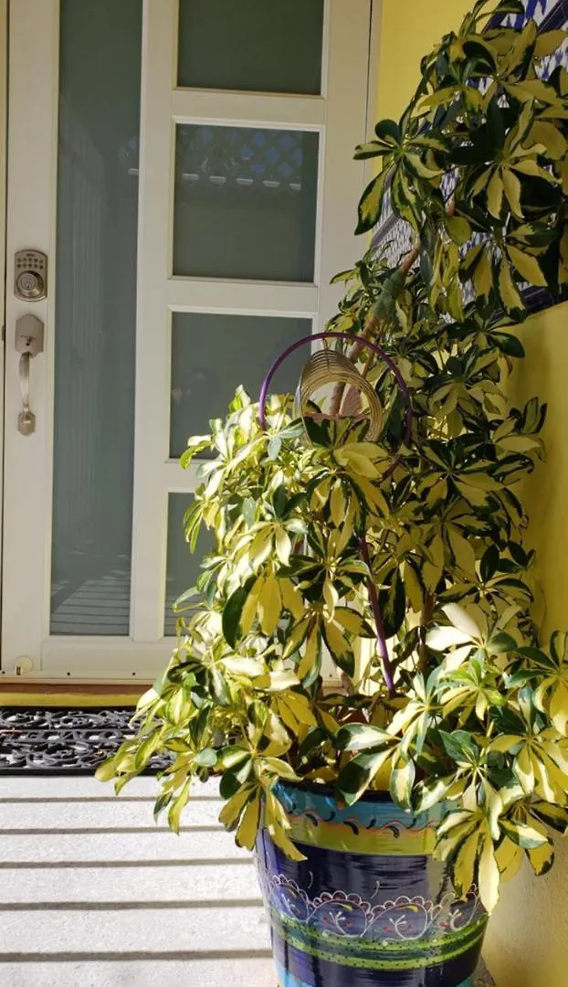 Andalucia Guest House San Juan